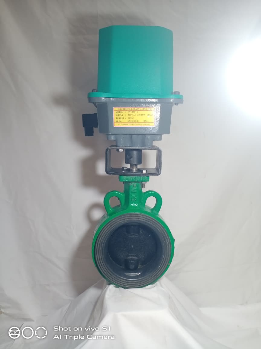 Butterfly Valve